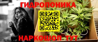 ешки Гатчина