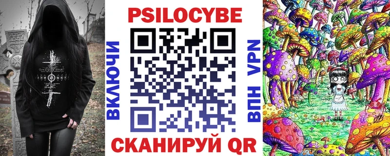 наркота  Назрань  Псилоцибиновые грибы Cubensis 