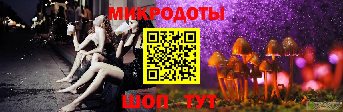 Галлюциногенные грибы Cubensis Назрань