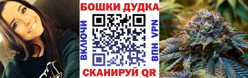 Бошки Шишки планчик Назрань